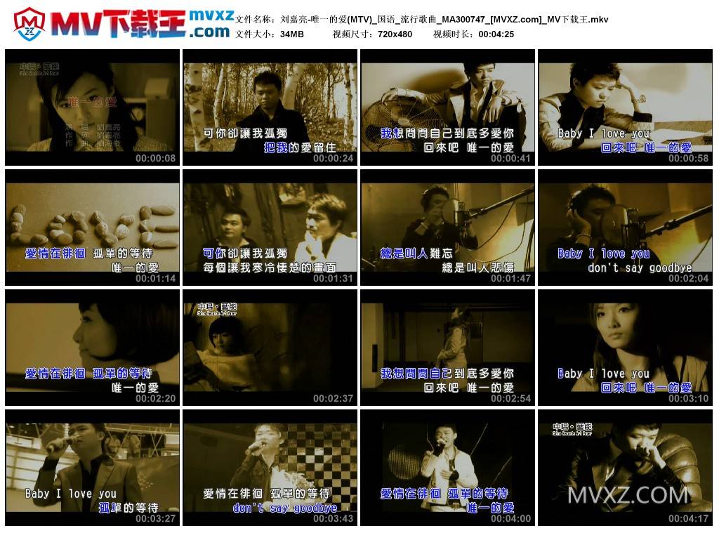 刘嘉亮-唯一的爱(MTV)_国语_流行歌曲_MA300747